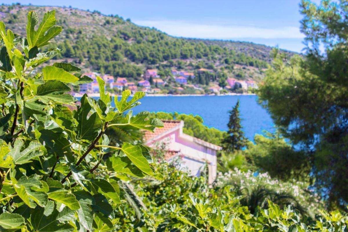 Apartment 7 Olives Rogoznica (Sibenik-Knin)